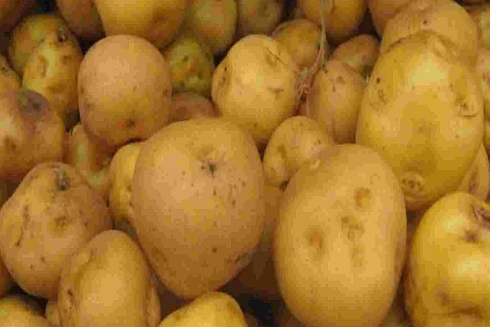 potato