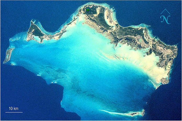 tci_bluebelt