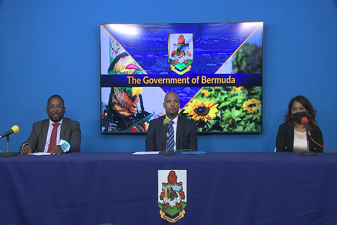 carpha_bermuda