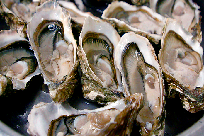 oyster_ja