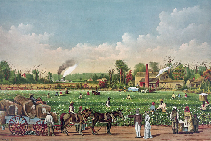 plantation