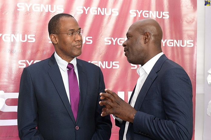 SYGNUS_2