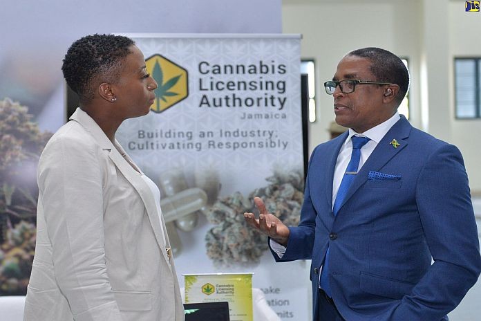 cannabis_jamaica