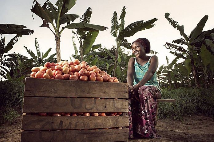 farmer in Uganda2
