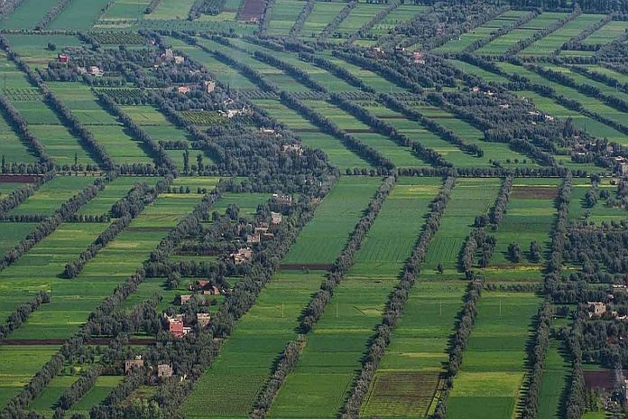 morocco_north