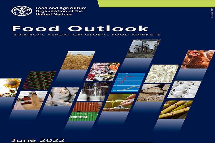 food-OUTLOOK_22
