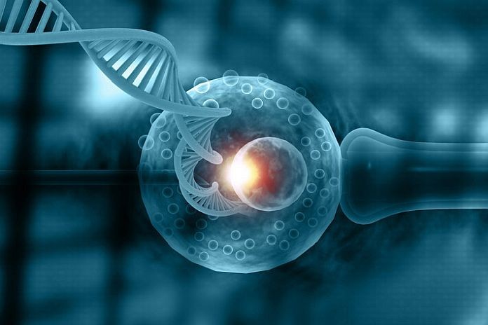 In vitro_fertilization