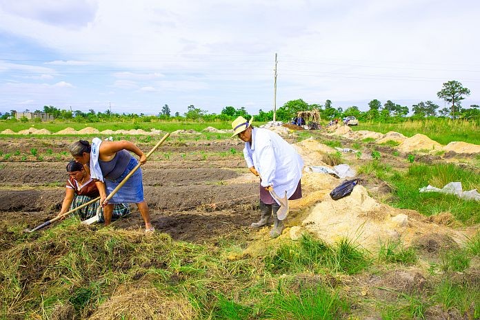 belize_agriculture_ CDB