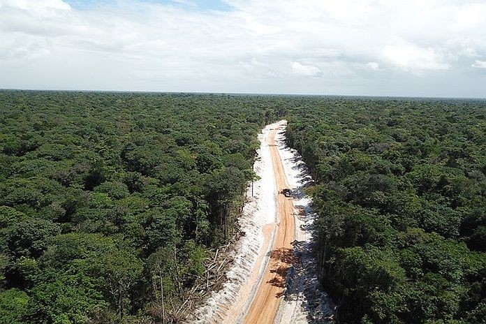 guyana_forest