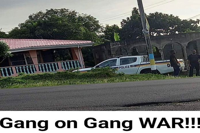 slu_ gangwar