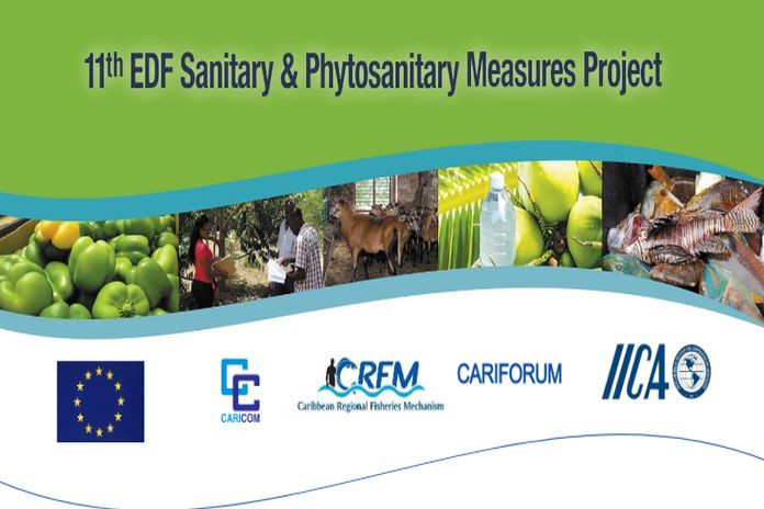 11th_edf-project