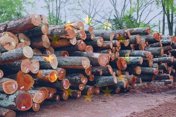 eu_guyana-logging