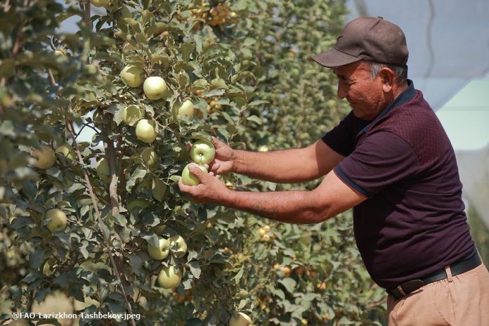 fao_food security