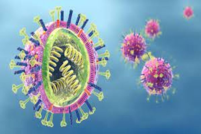 metapneumovirus
