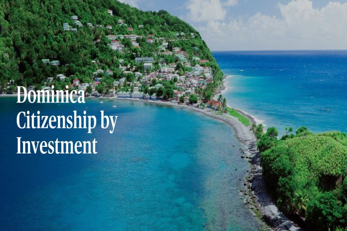 cip_dominica