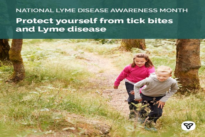 lyme_disease