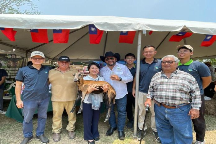 taiwan_belize-sheep 2