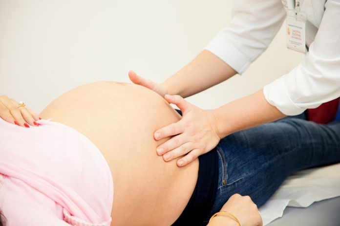who_midwife