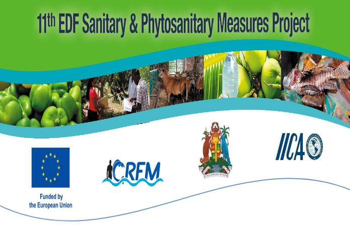 11edf_grenada