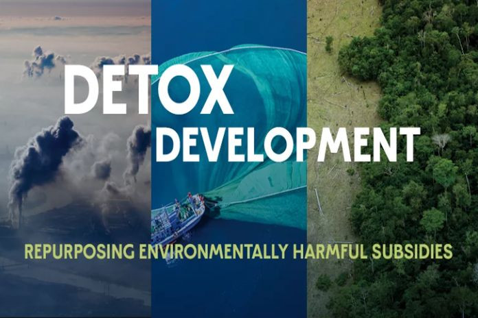 detox_dev