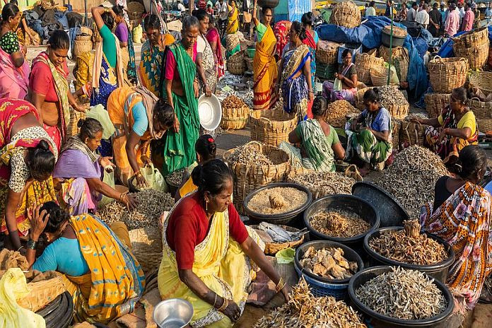 dried fish_india