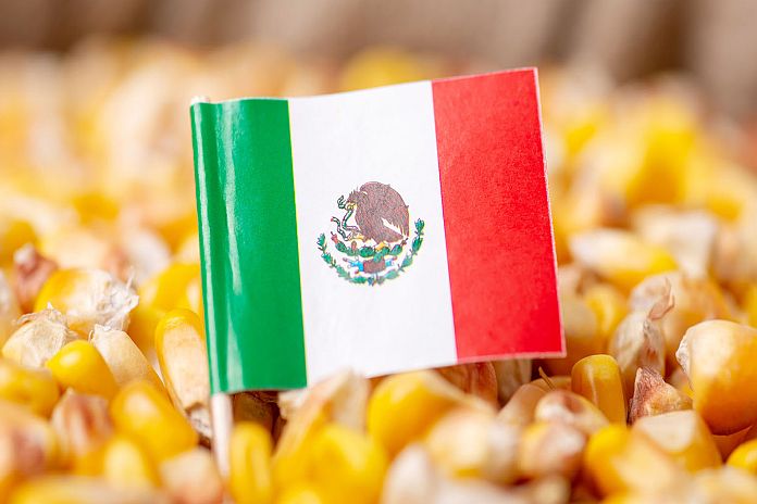 mexico_corn