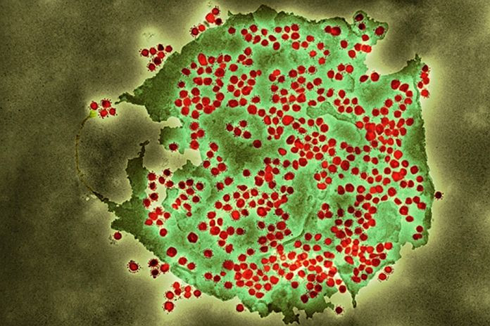 sarc_covid-2