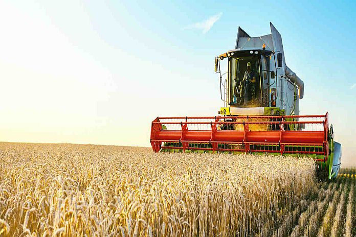 wheat_production_a1