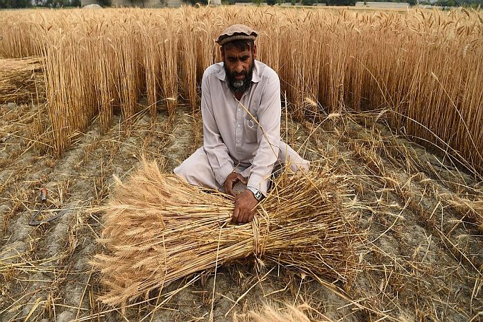 UNCTAD-food