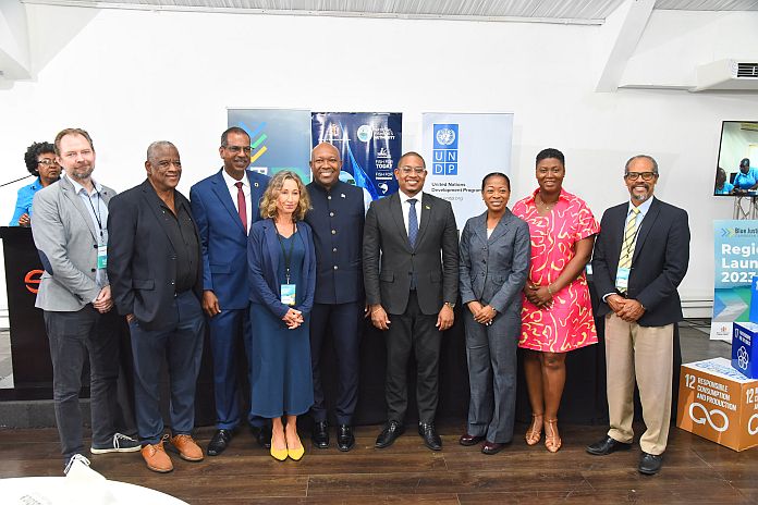 undp_ blue_hub