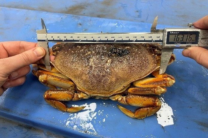 Fisheries and Oceans Canada- Pacific Region-Richmond seafood pro