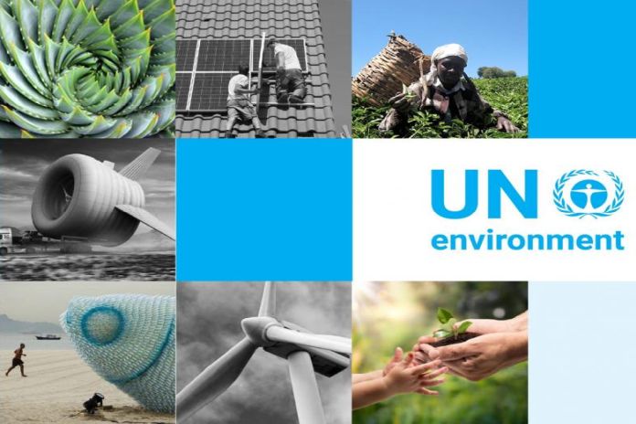 unep_programme