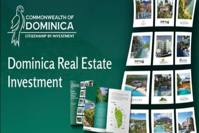 dominica_realestate