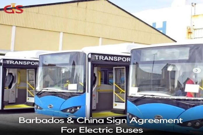 bds_china-buses