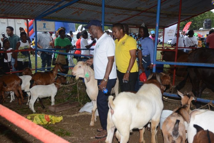 montpelier_show_jamaica