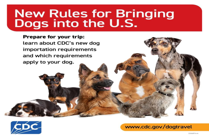 CDC_dogtravel