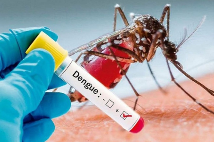 dengue