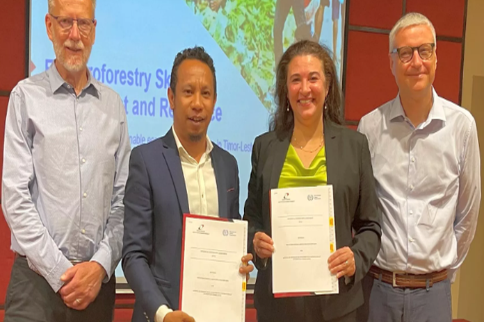eu_ilo-timor-leste