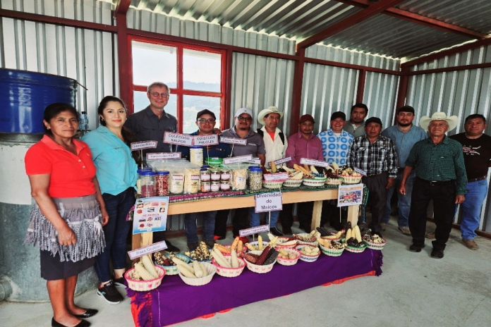 uk_guatemala-foodsecurity
