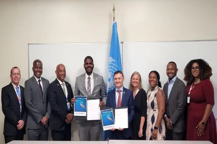 BVI _UN CIP