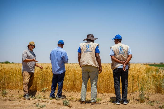 Sudan. WFP Empower small hold farmers in the Northern states.