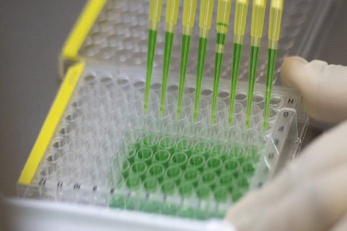h5n1
