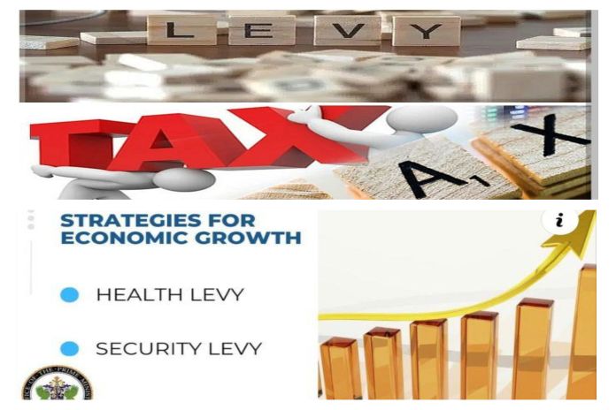 levy_health-security