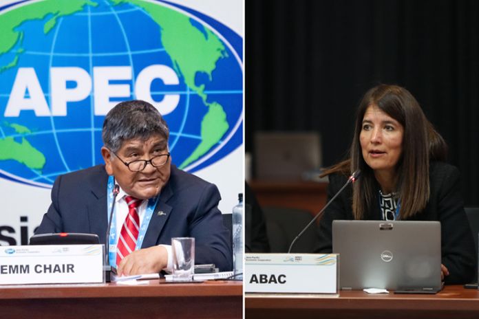 apec_energy24