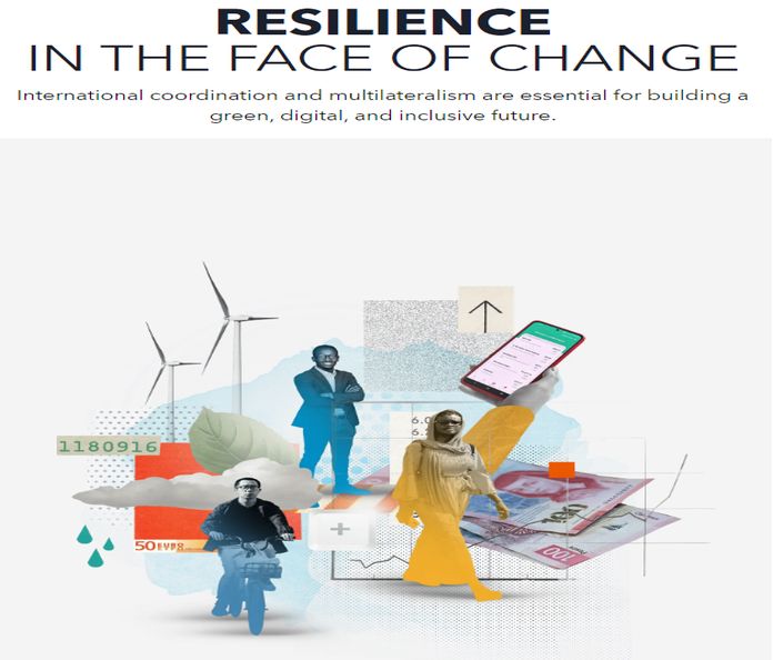 IMF_resilience-2024