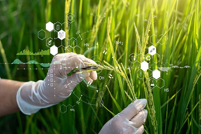 bioeconomy