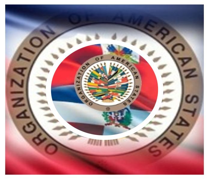 oas_haiti-venice