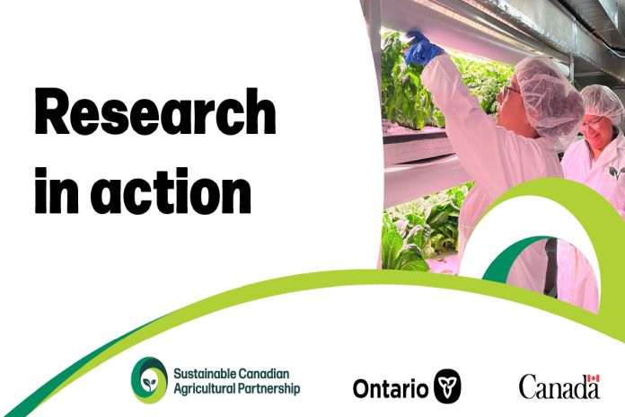 ont_research