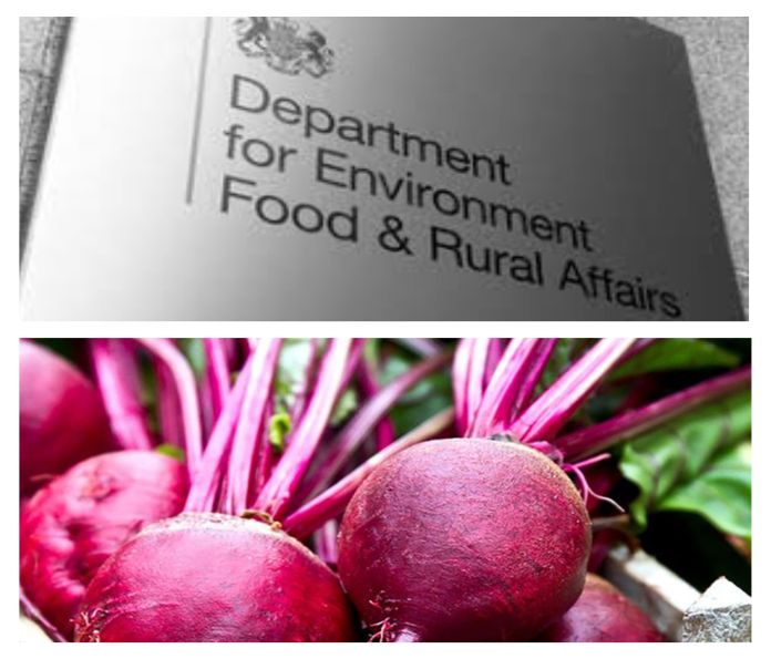 uk_beetroot