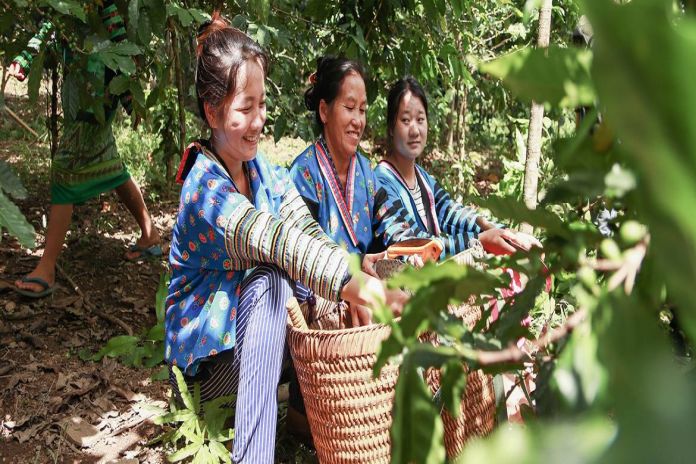 coffee_ farmers-laoPDR